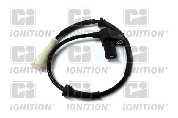 XABS755 QUINTON HAZELL