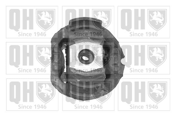 EMS2494 QUINTON HAZELL